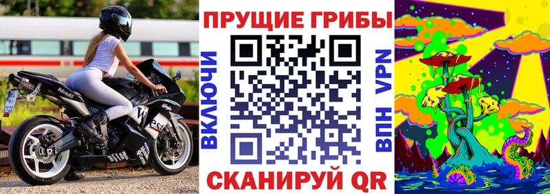 продажа наркотиков  Весьегонск  Галлюциногенные грибы прущие грибы 