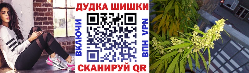 Бошки Шишки VHQ  ссылка на мегу   Весьегонск  купить закладку 